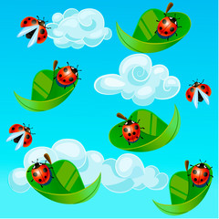 ladybug baby background
