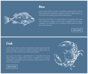 Bass Fish and Crab Posters Set Vector Illustration
