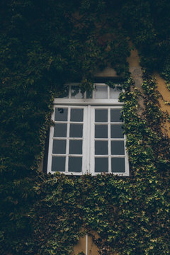 ventanas ruinas cristal postigos