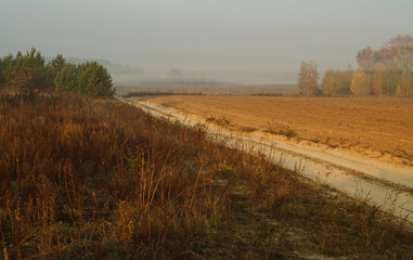 Dirt road along the field and forest