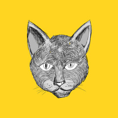 cat drawing yellow background