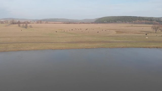 Republic of Bashkortostan, rivers, autumn Idrisovskaya cave. modern.