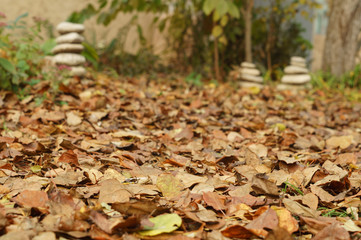 Dry fallen leaves in the autumn garden and stone pyramids in the