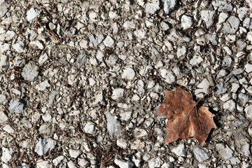 the texture of the old asphalt with pebbles and cracks