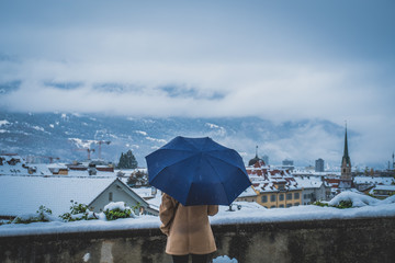 The Snowy Town