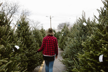 woman picking out a christmas tree - 235699424