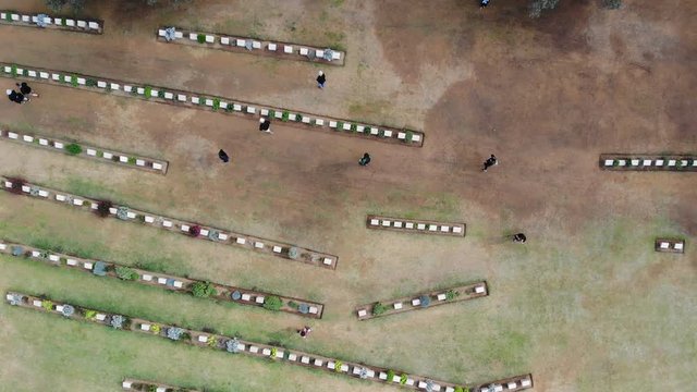 Anzac Cove is a small cove on the Gallipoli peninsula in Turkey. It became famous as the site of World War I landing of the ANZACs on 25 April 1915. 