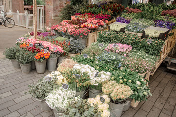 Fototapeta na wymiar Beautiful colorful flowers in street flower shop. Tulips and decorative onion. Rotterdam, The Netherlands. 