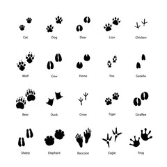 Large set of animal and bird silhouettes of steps imprints on white