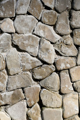 the texture of the masonry