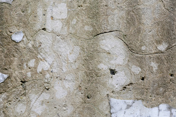 rough texture of a old gray wall.