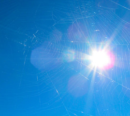 A spiderweb (or cobweb) against blue sky and bright sun for vibrant background. Close-up of a insect trap in nature on shiny sunshine.