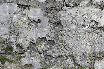 rough texture of a old gray wall.