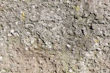 rough texture of a old gray wall.