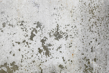 rough texture of a old gray wall.