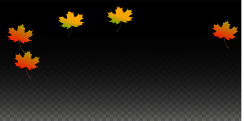 September Vector Background with Golden Falling Leaves. Autumn Illustration with Maple Red, Orange, Yellow Foliage. Isolated Leaf on Transparent Background. Bright Swirl. Suitable for Posters.