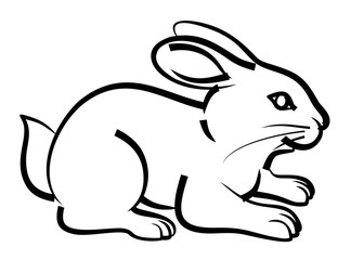 Набросок большого домашнего зайца. 