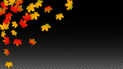 September Vector Background with Golden Falling Leaves. Autumn Illustration with Maple Red, Orange, Yellow Foliage. Isolated Leaf on Transparent Background. Bright Swirl. Suitable for Posters.