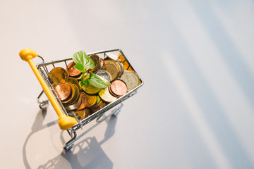 Mini shopping cart contain stack coins and small plant using as e-commerce and business marketing concept