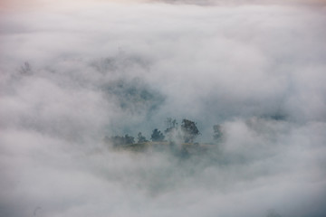 Landscape nature Mist in the forest 