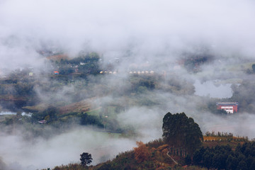 Fototapeta premium Beautiful green forest and mist in the village in the morning.