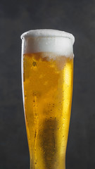 Glass of lager wheat beer with foam