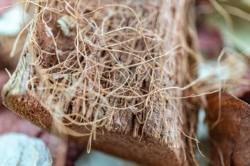 close up of christmas decoration, decorazioni natalizie