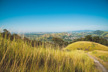 Fototapeta premium yelow landscape