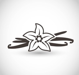 Vanilla vector icon