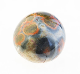 polished orbicular jasper stone on white