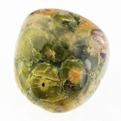 polished rhyolite ( rainforest jasper) stone
