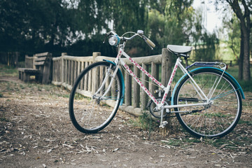 Fototapeta na wymiar bicicleta vintage