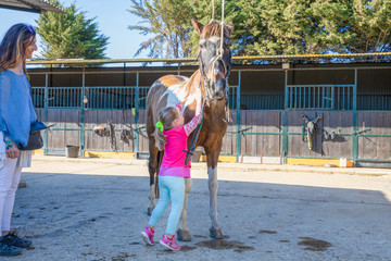 little four years old girl caressing with hands a horse next to her mother outside of stables in a riding center