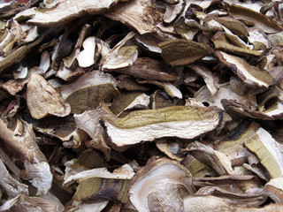 dried mushrooms