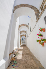 vertical shot of narrow pedestrian arcaded famous street, or alley, with chairs and flower pots in...