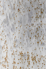 texture of painted grey metal with corrosion points.