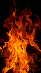 Fire flames on black background. Fire background