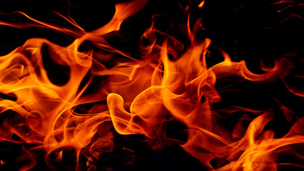 Fire flames on black background. Fire background © Thicha