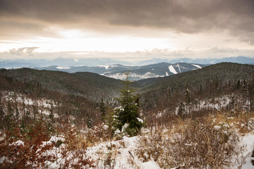 Mountains Carpathians in winter