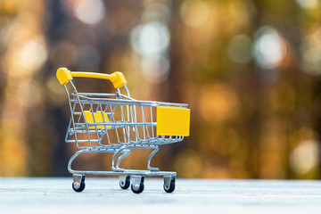 Fall season shopping theme with shopping cart on a fall forest background