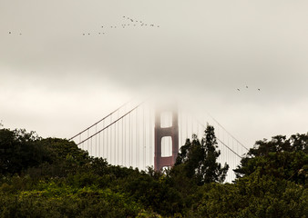golden gate bridge