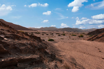Fototapeta na wymiar Steinwüste in Namibia Afrika