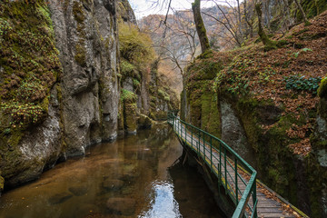 Fototapeta na wymiar Bridge for hikers in the gorge of the Devinska River in Bulgaria.