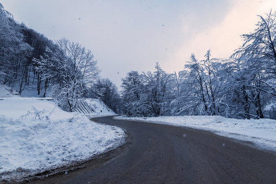 Winter road. Country road through forest. Travel concept.