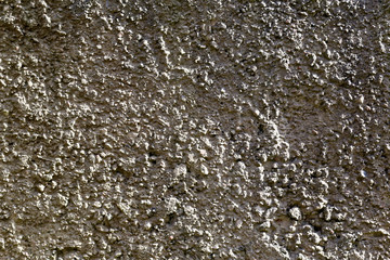 rough texture of a plaster gray wall.