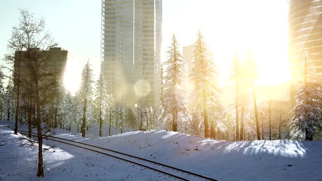 sity and forest in snow at sunrise