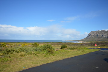 Fototapeta premium A peaceful walk to the nearest beach