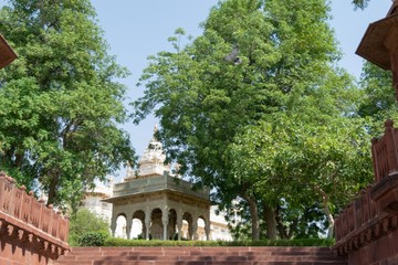 Fototapeta na wymiar Image of Abandoned temple in Forest Park , Shot At Jodhpur