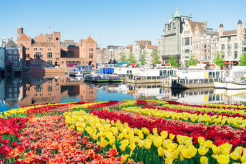 Obraz premium Amsterdam canal Damrak with typical dutch houses and boats at morning blue hour with tulips, Holland, Netherlands