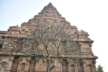 Fototapeta premium Brihadisvara Temple, Gangaikonda Cholapuram, Tamil Nadu
